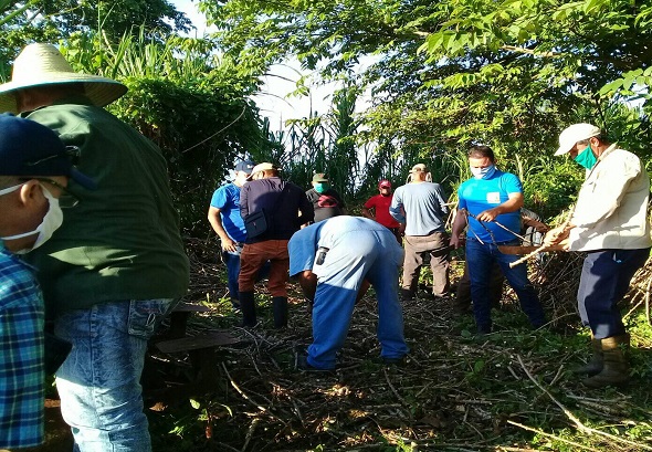 trabajo-voluntario-dolores
