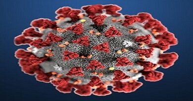 coronavirus_2019