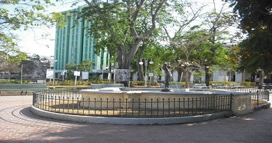 historia local-covid-19-VC