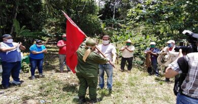 Abanderan en las montañas de Jibacoa primera brigada de desmochadores de palmas