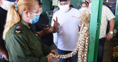 Presidenta del Consejo de Defensa Provincial recorre mercados de Santa Clara