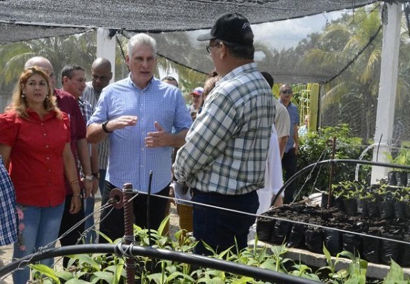 Pensar el desarrollo desde nuestras raÃ­ces