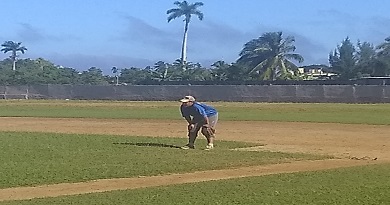 torneo beisbol