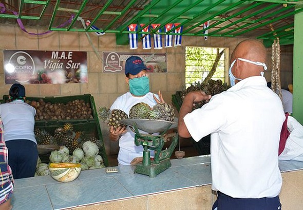 0209 mercado vigia villa clara