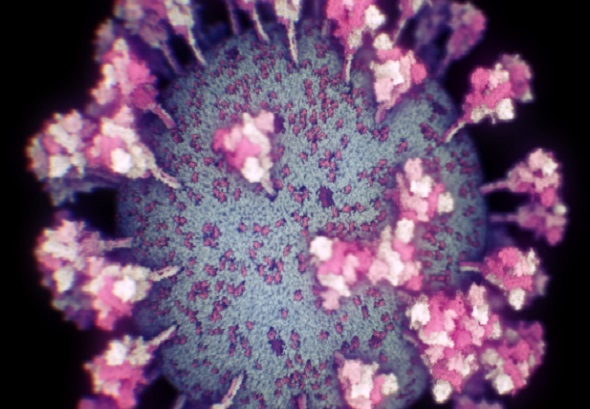 coronavirus 580x326 1