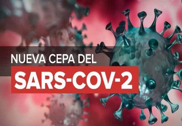coronavirus nueva cepa 0