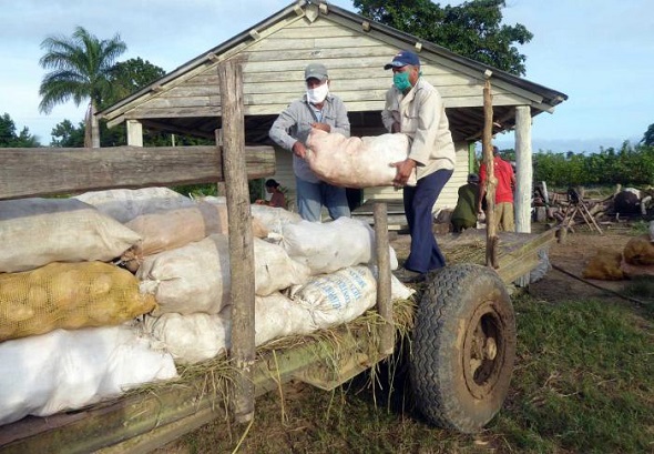 trabajo fff