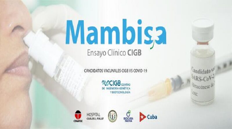 vacuna mambisa