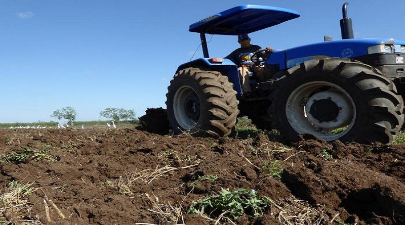 cuba ordenamiento agricultura