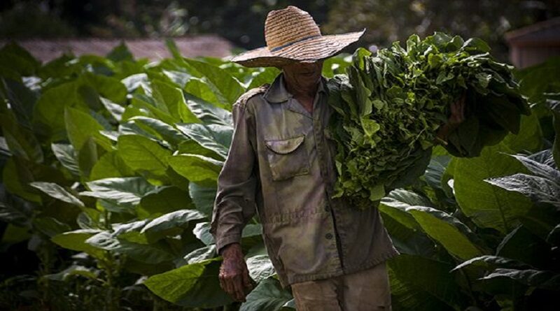 cuba recuperaciÃ³n covid