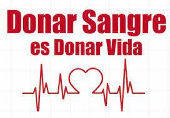 donar sangre dddd