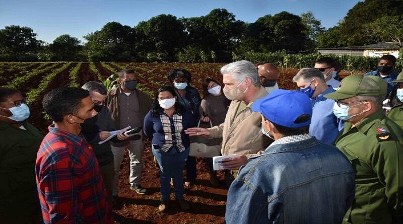 agricultura cuba