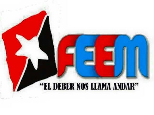 FEEM