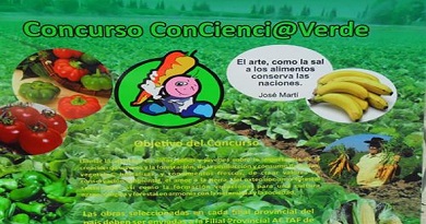 concurso conciencia 1