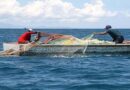 Prevén cumplir sus planes de producción pescadores de CAIMAR