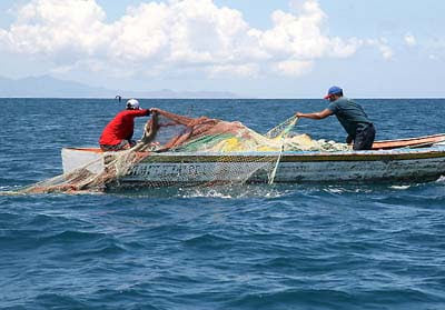 pesca fredito