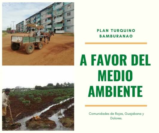 A favor del medio ambiente