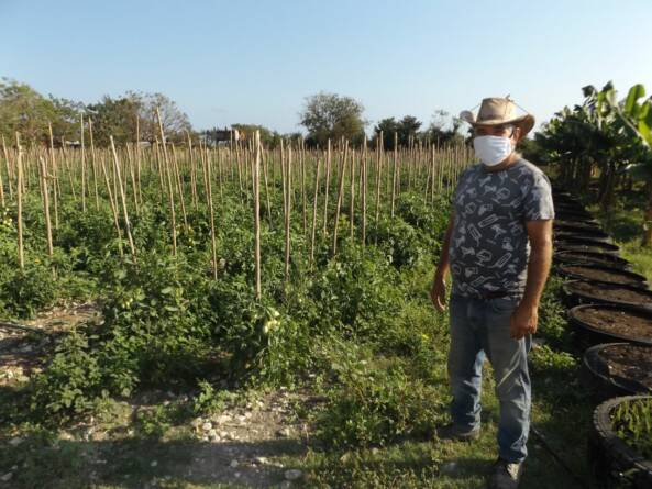 caibRIEN AGRICULTURA