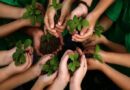 Educación ambiental en verano
