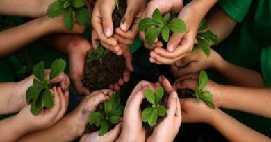 Educación ambiental en verano