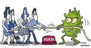 disciplina covid f
