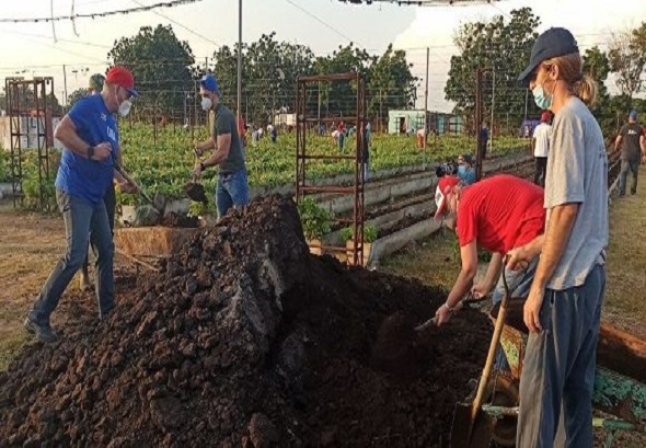 DC Trabajo voluntario