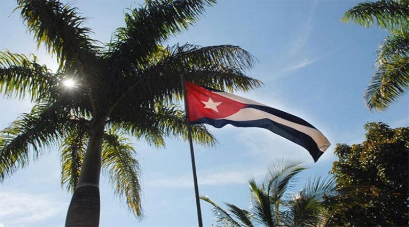 Cuba-bandera-palma 111