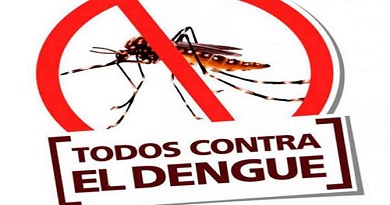 dia internacional contra el dengue