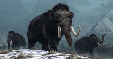 mamut 580x335 1