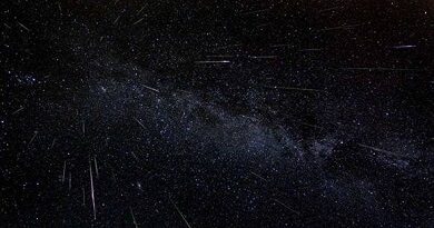 perseidas