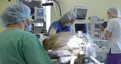 Un neuroimplante visual ruso podría permitir a personas ciegas recuperar la vista Un neuroimplante visual ruso podría permitir a personas ciegas recuperar la vista