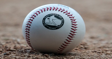 Beisbol Pelota