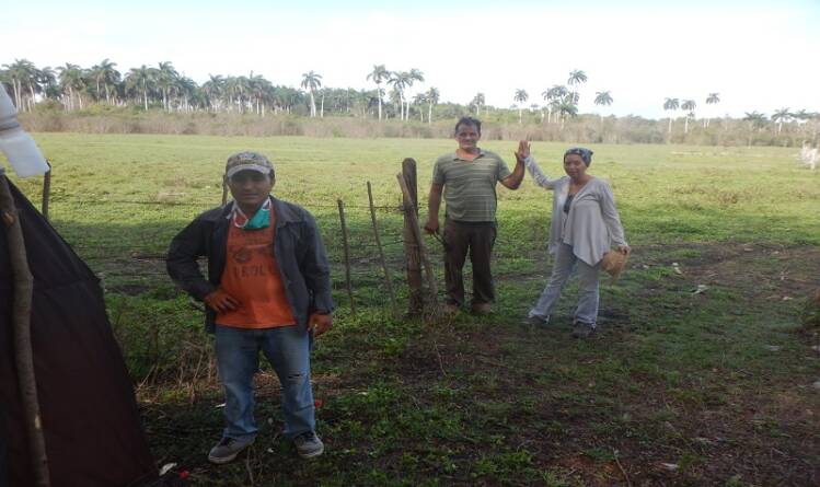 Finca La Amalia solana y lellani