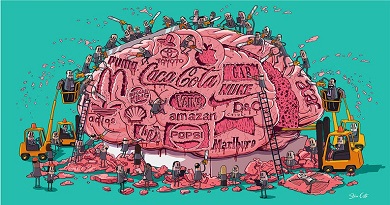 cerebro 1