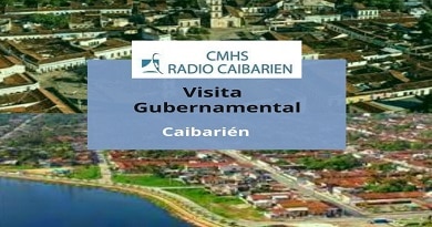 visita gubernamental