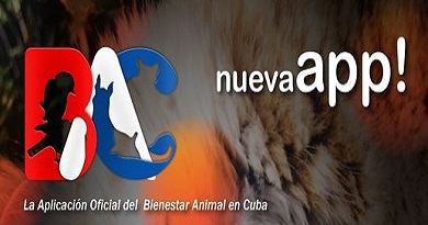 bienestar animal