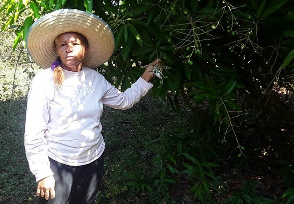 campesina cÃ³digo familias