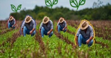 agricultura