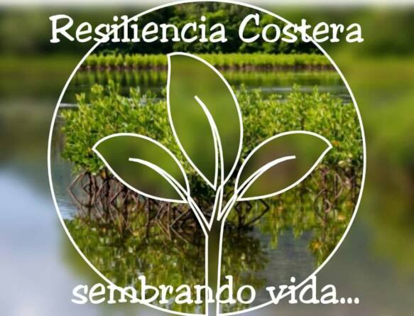 resiliencia costera imagen