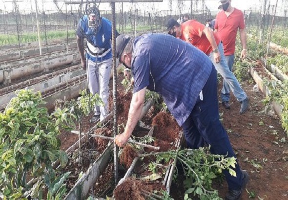 trabajo voluntario