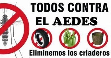 Convocan a disciplina ante alza de focos de vectores (+Audio) vectores