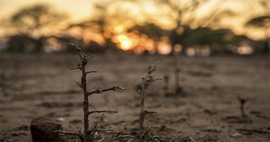 Sequia cambio climatico onu 1