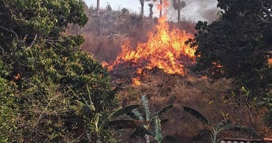 incendios forestales