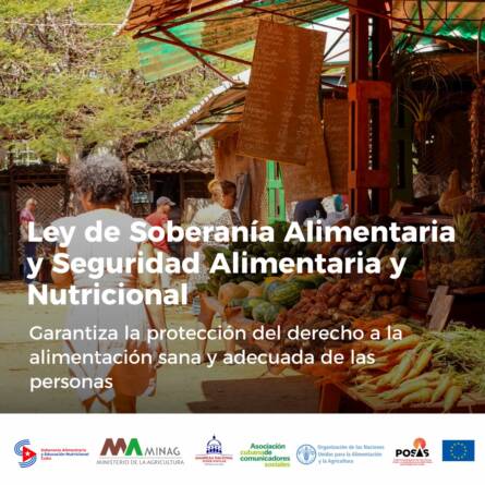 seguridad alimentaria 2 1