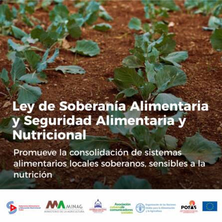 seguridad alimentaria 4