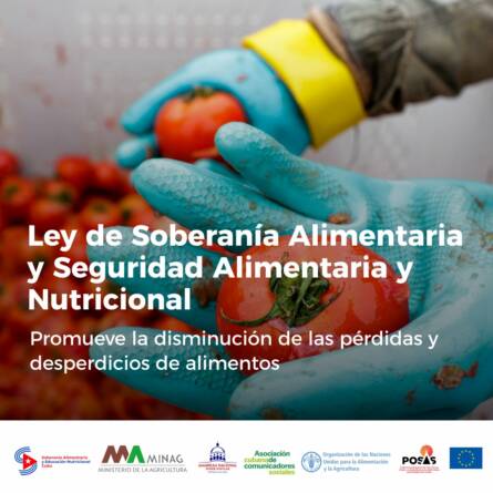 seguridad alimentaria 6