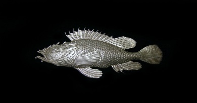 Peces de plata