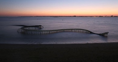 serpiente-gigante-Cayo-Salinas