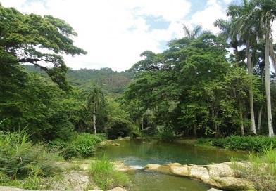 Por un país más verde, más limpio