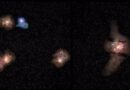 galaxias
